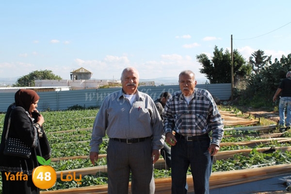 re7la tolkarem (66).JPG